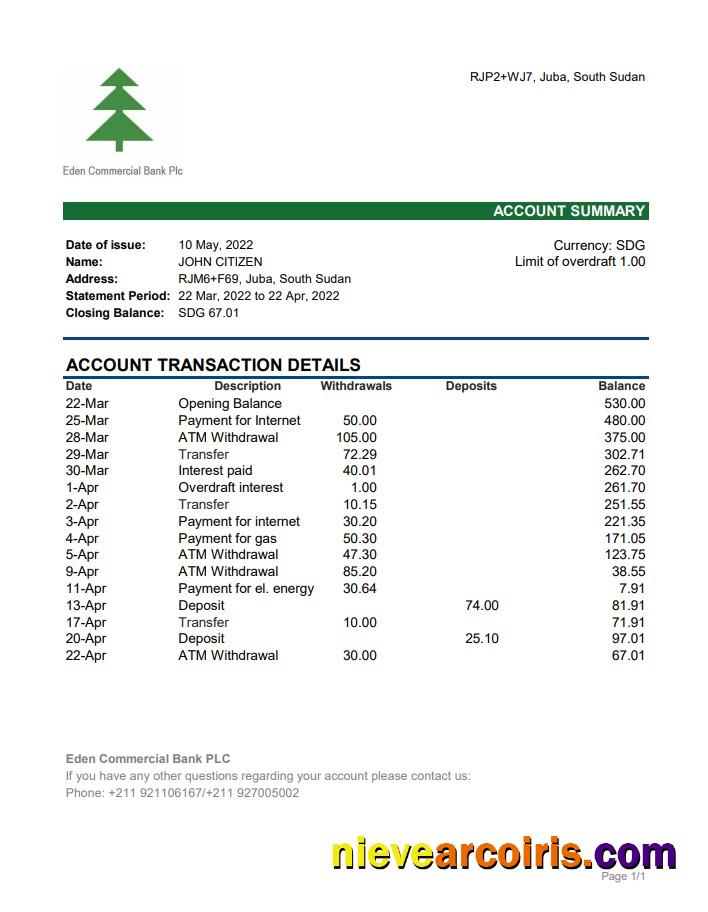South Sudan Eden Commercial Bank statement